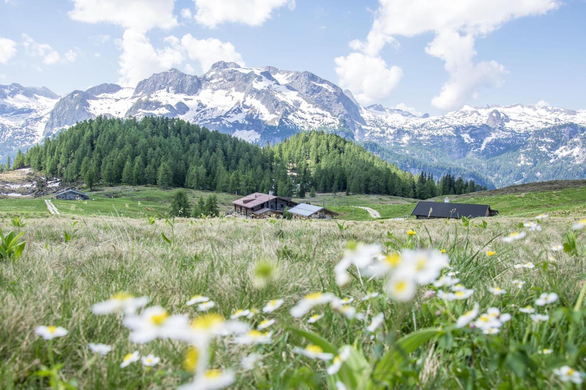 Villa Marga Ferienwohnung Steinernes Meer Schönau am Königssee Eksteriør bilde